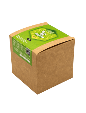 Té Verde con Menta | Refrescante, digestivo y antioxidante