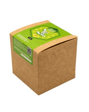 Té Verde con Menta | Refrescante, digestivo y antioxidante