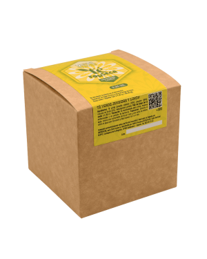 Té Verde con Jengibre y Limón | Digestivo, cítrico y natural