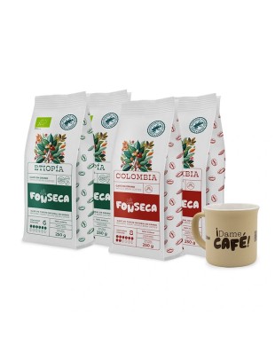 Pack Degustación 1 Kg Café en Grano (Colombia y Etiopía) + Taza