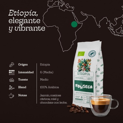 Café en grano 100 % Etiopía