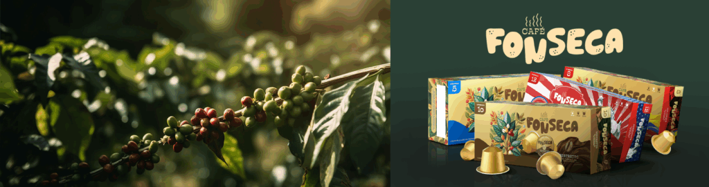 Cabecera para post Café Fonseca y su historia
