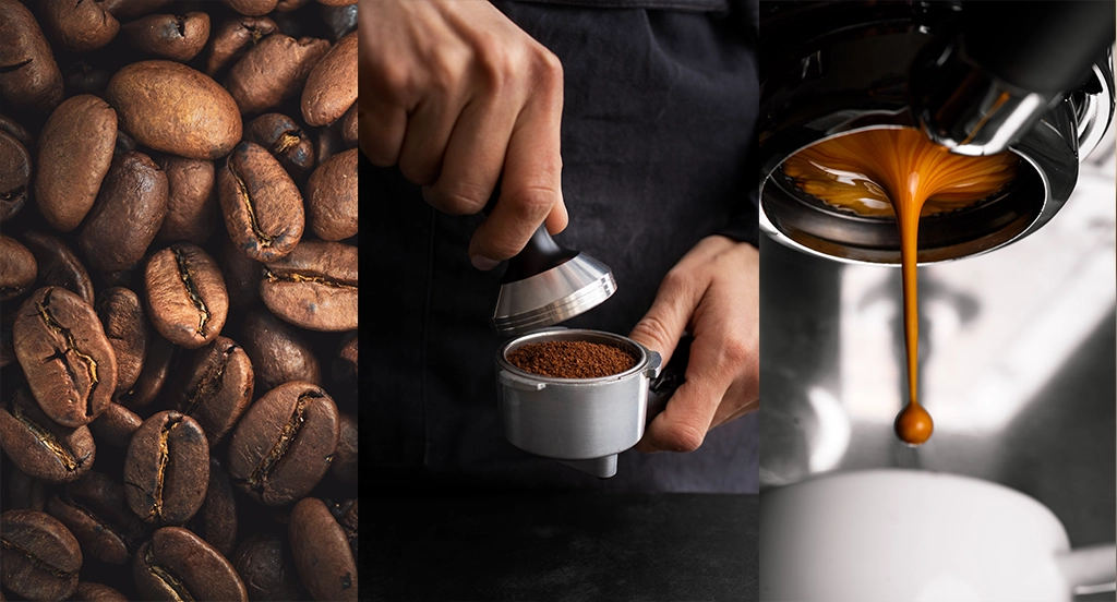 Diferentes formas de preparar el café. Tipos de café y usos