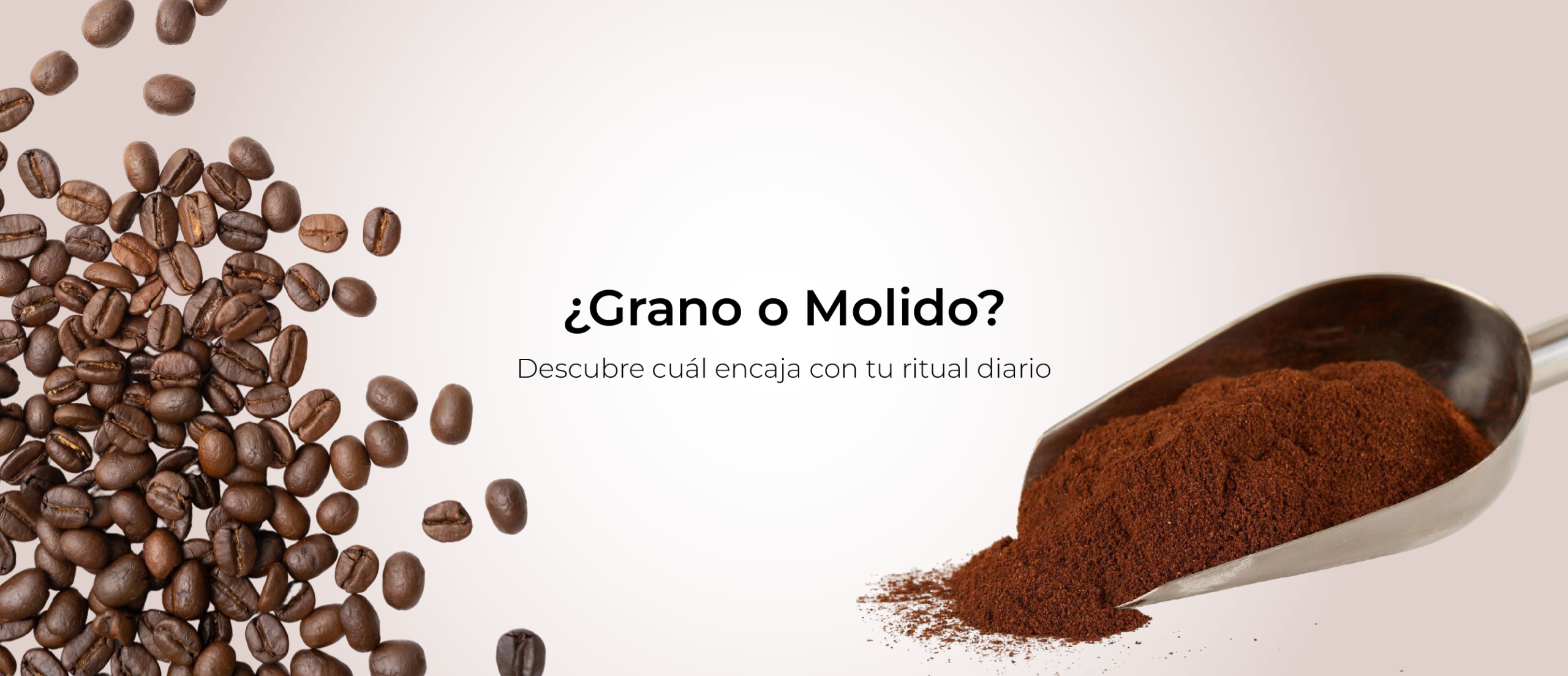 Cabecera artículo café molido o grano