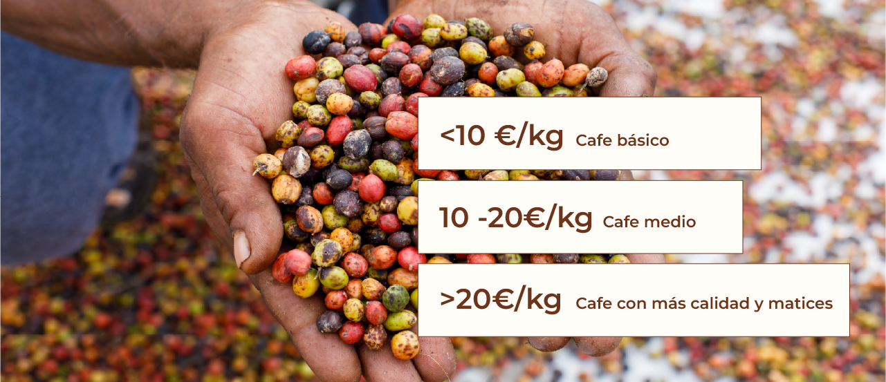 Precio del café en el mercado. Rangos de precios por kg.