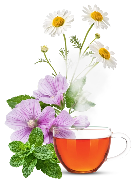 Té menta